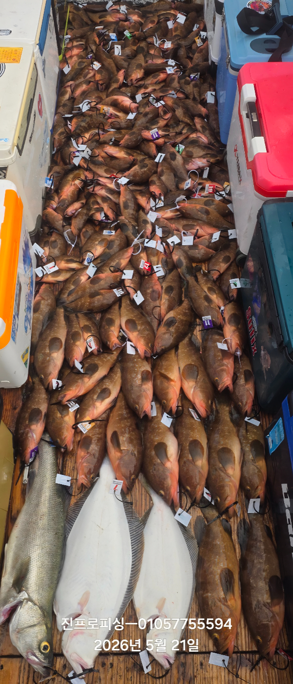 1779356989884.jpg