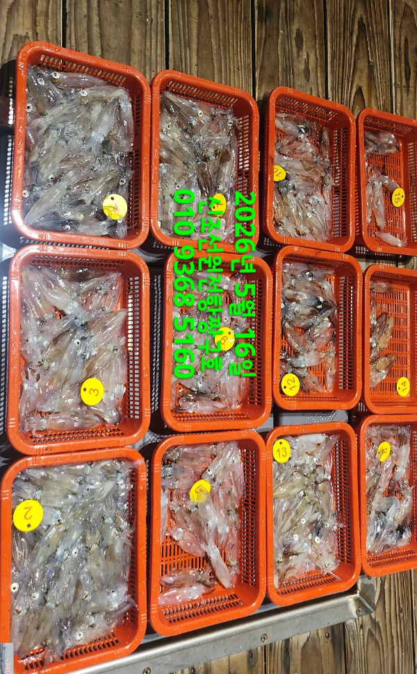 KakaoTalk_20260516_031933420_09.jpg