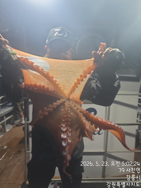 KakaoTalk_20260524_133912811.jpg