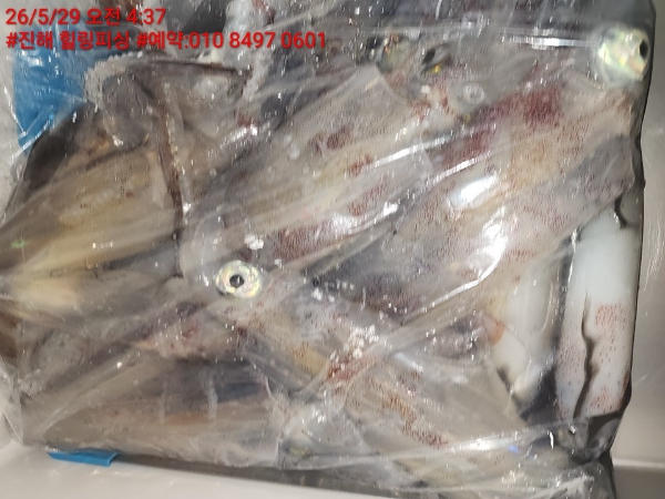KakaoTalk_20260529_120112733_12.jpg
