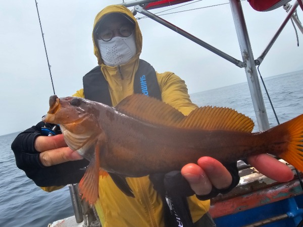 AEABE07E-3A77-49D0-B05D-857A67D95849.jpeg