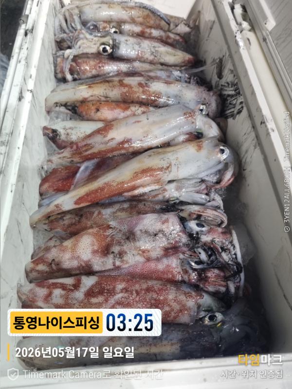2026-05-17 03.25.54__(제목-통영나이스피싱).jpg