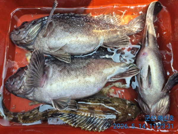 군산해신호_사진_20260514_9.jpg