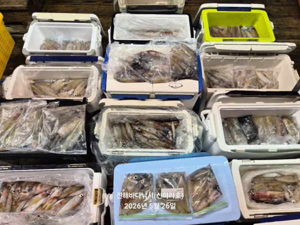 바다꾼낚시(신아라호)_사진_20260526_3.jpg