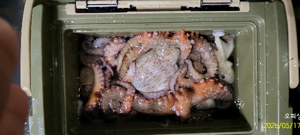 DateCamera0517012653.jpg