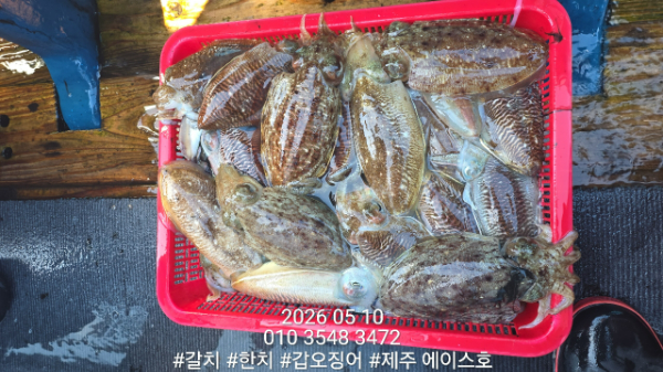 KakaoTalk_20260511_080428004_02.jpg