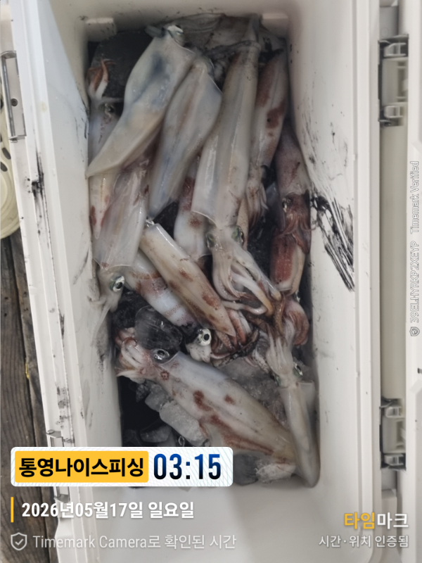 2026-05-17 03.15.47__(제목-통영나이스피싱).jpg