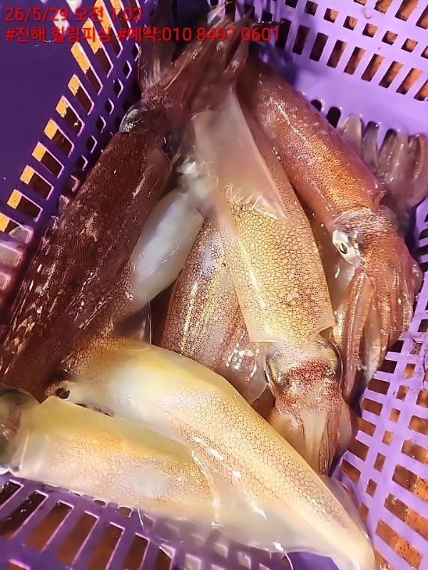 KakaoTalk_20260529_120112733_06.jpg