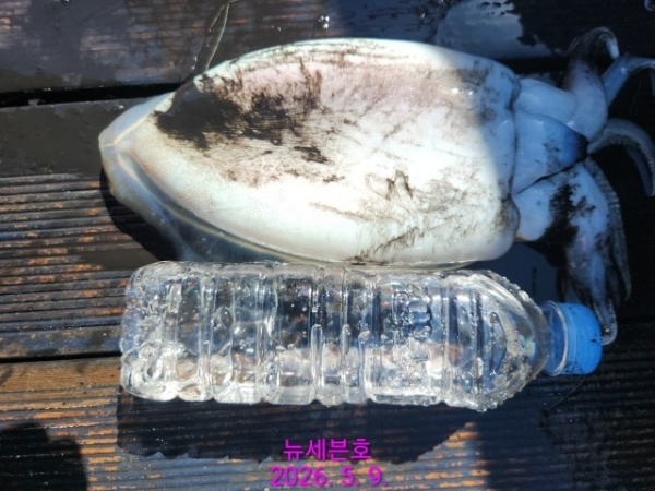 g_j97Ud018svc1sqwc9z64b4bg_82sd02.jpg