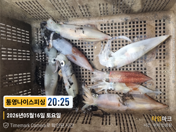 2026-05-16 20.25.26__(제목-통영나이스피싱).jpg