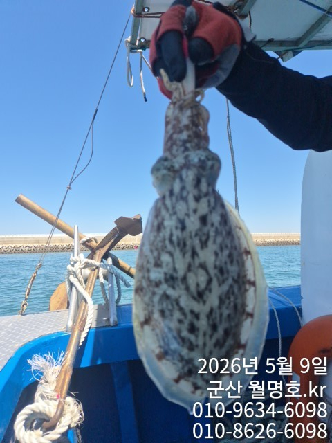 6704.jpg