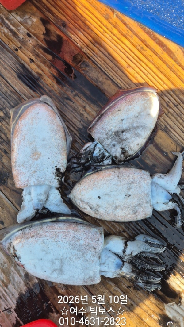 0FE8D995-8617-4D31-B4E7-67F7F29B9B6A.jpeg