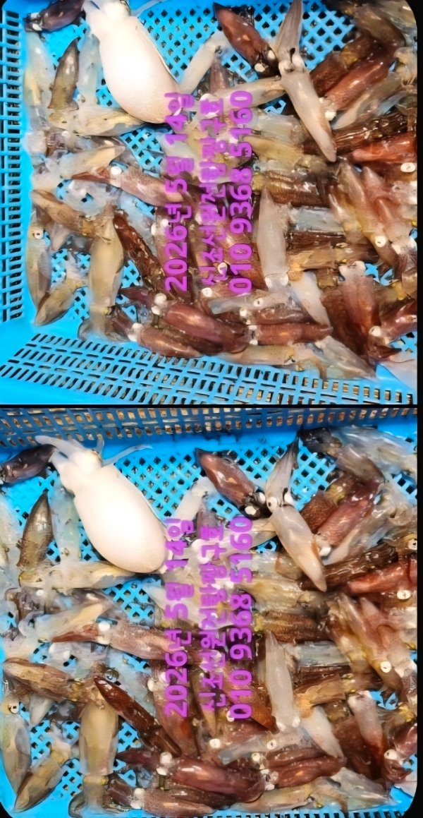 KakaoTalk_20260514_120027742.jpg