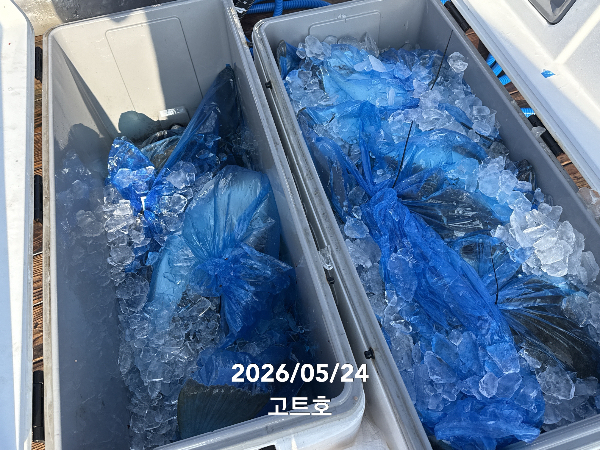TC_07091.jpeg