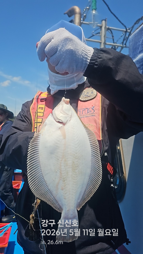신신낚시 강구점 신신호_사진_20260511_17.jpg