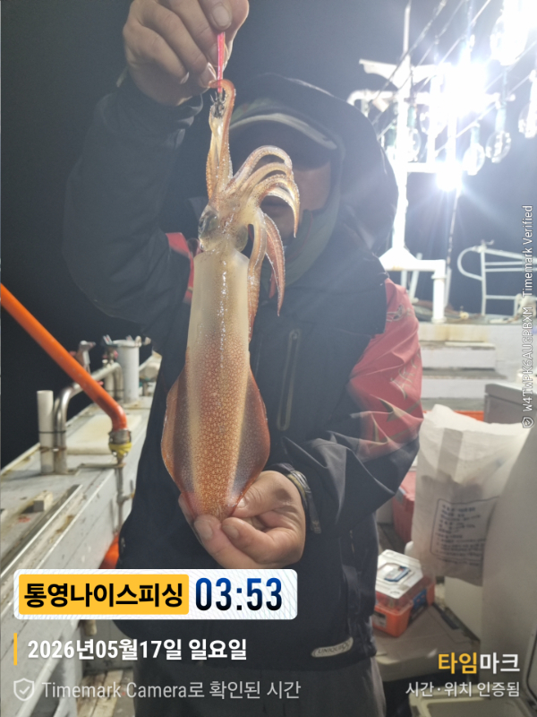 2026-05-17 03.53.43__(제목-통영나이스피싱).jpg