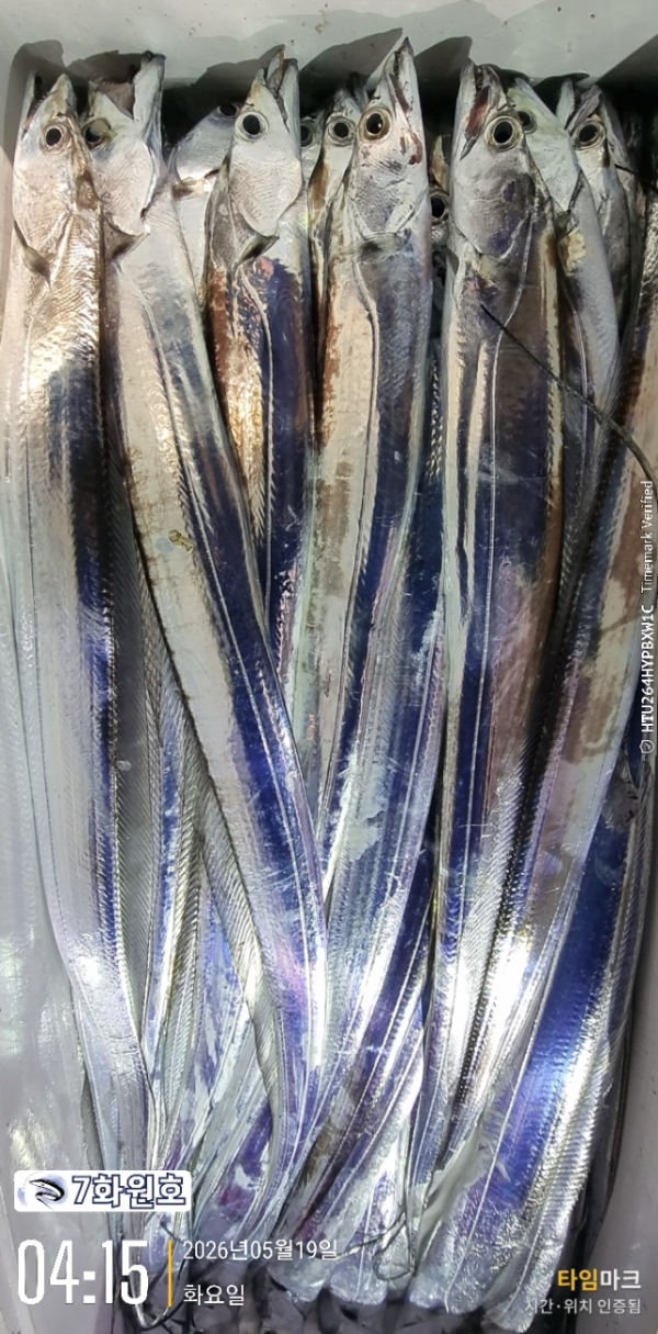 0EB0B3ED-BF2A-4A1E-B226-A86EAC735226.jpeg
