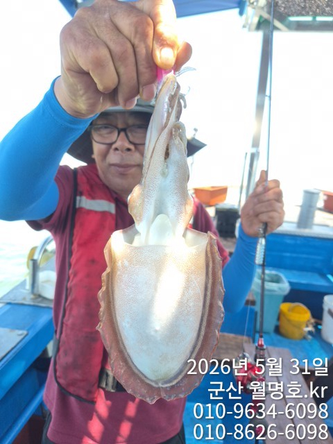 8033.jpg