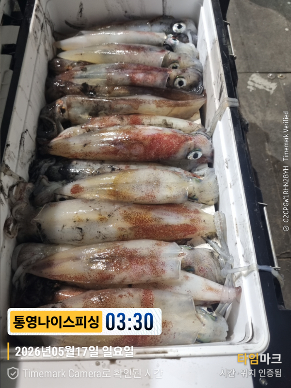 2026-05-17 03.30.03__(제목-통영나이스피싱).jpg