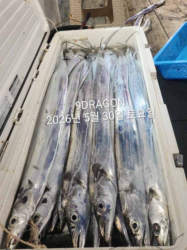 30D329AD-D2B1-4B60-91BD-B8360F0E7A2A.jpeg