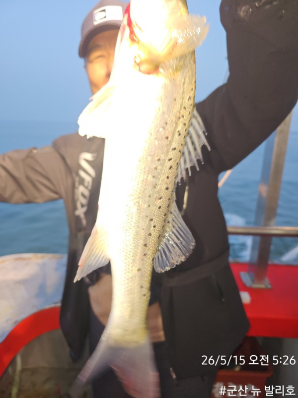 KakaoTalk_20260515_094958344_04.jpg