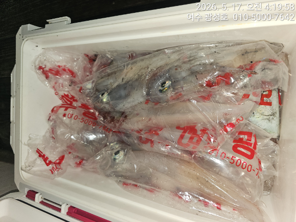 KakaoTalk_20260517_141640460_08.jpg