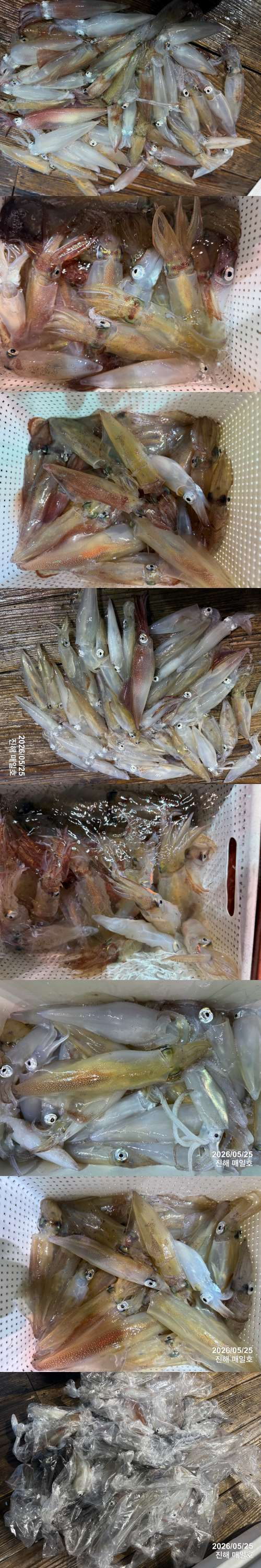 왕한치2.jpg