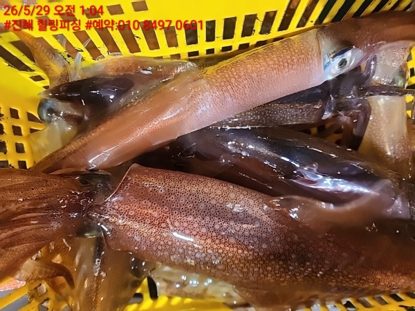 KakaoTalk_20260529_120112733_08.jpg