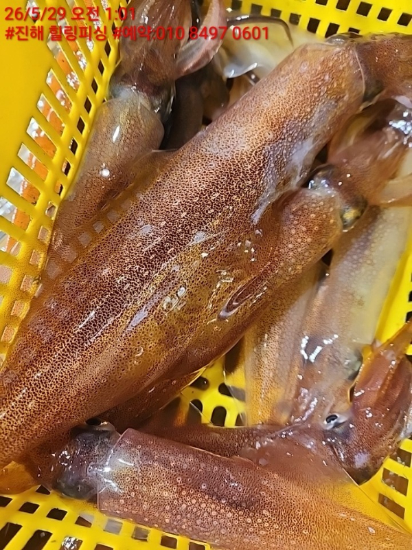 KakaoTalk_20260529_120112733_05.jpg