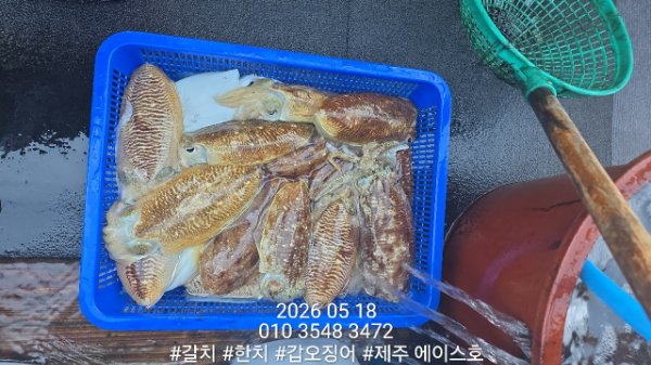 KakaoTalk_20260518_204959931_03.jpg
