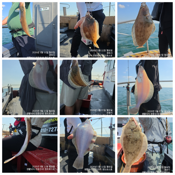 PhotoCollage_1778735401248.jpg