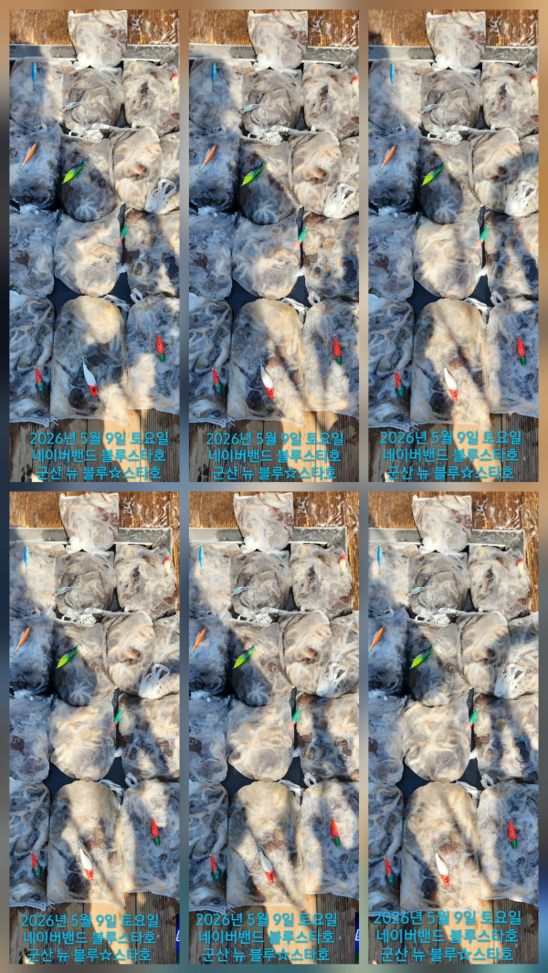 1000045100.jpg