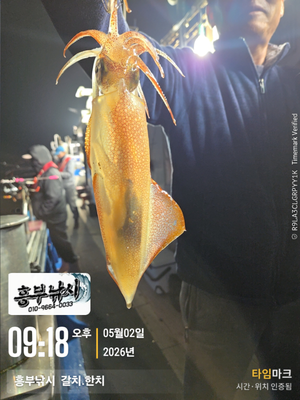 2026-05-02 09.18.50__(-흥부낚시  갈치.한치).jpg