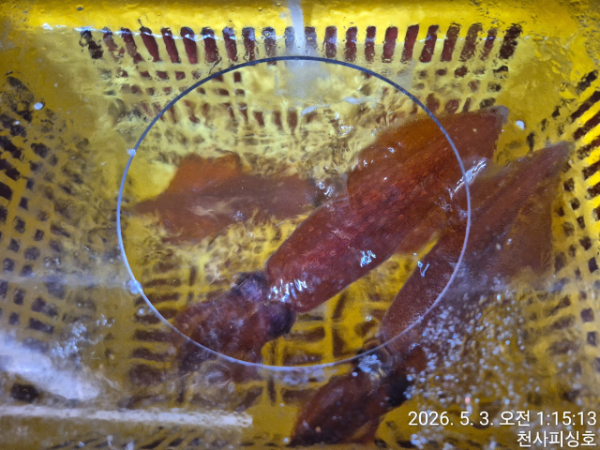 1004피싱_사진_20260503_18.jpg