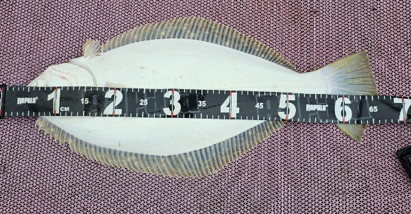 1000053955.jpg