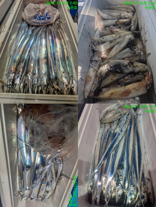 한11.jpg