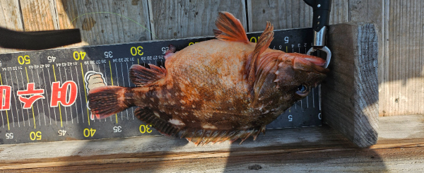 1777628693480.jpg