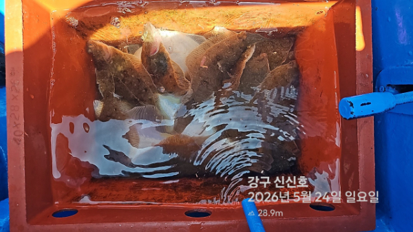 신신낚시 강구점 신신호_사진_20260524_14.jpg