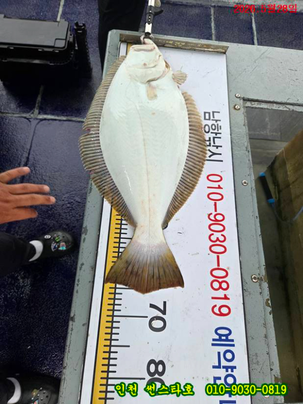 KakaoTalk_20260528_173115182_01.jpg