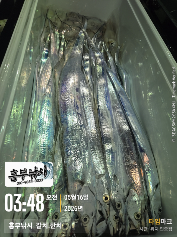 2026-05-16 03.48.49__(-흥부낚시  갈치.한치).jpg