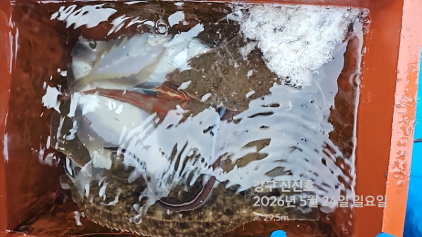 신신낚시 강구점 신신호_사진_20260524_11.jpg