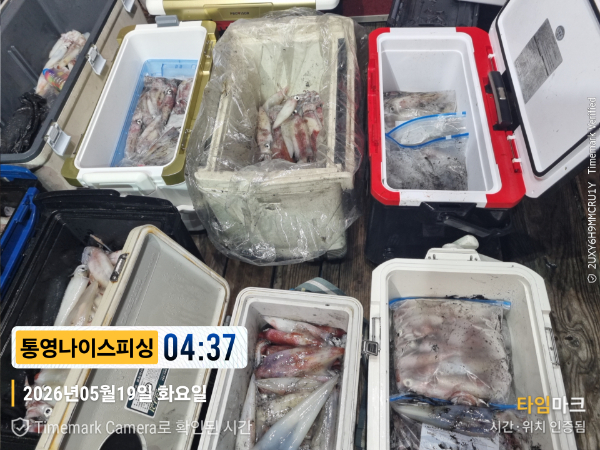 2026-05-19 04.37.41__(제목-통영나이스피싱).jpg