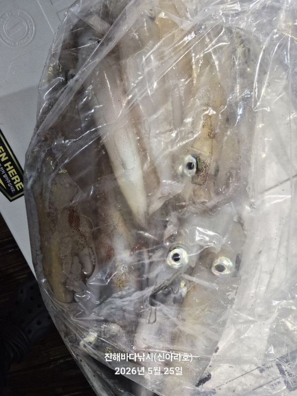 바다꾼낚시(신아라호)_사진_20260525_15.jpg