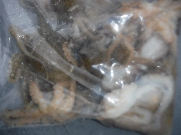 DSCF5761.JPG