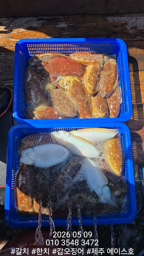 KakaoTalk_20260510_115203567_01.jpg