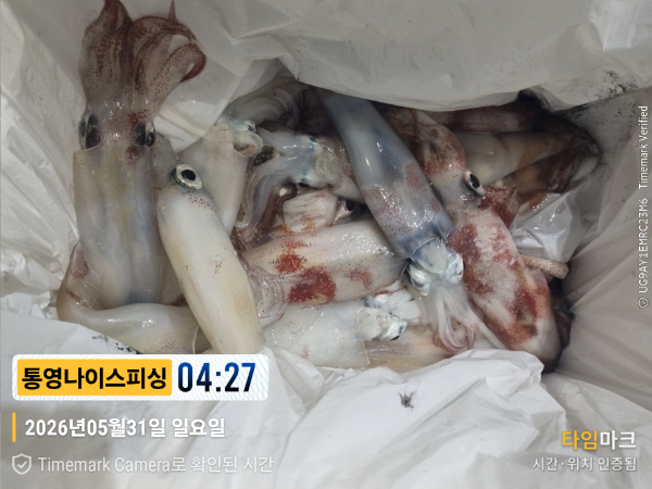2026-05-31 04.27.09__(제목-통영나이스피싱).jpg