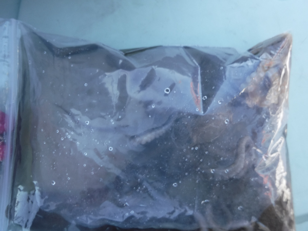 DSCF5690.JPG