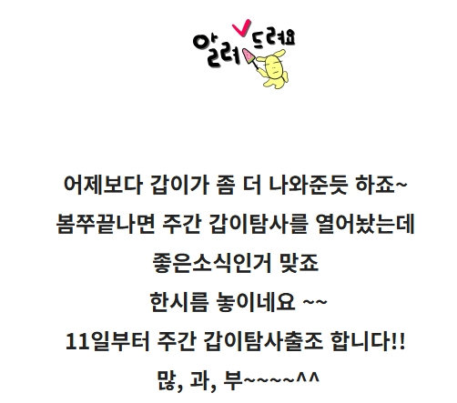 스크린샷_8-5-2026_223941_cafe.naver.com.jpeg