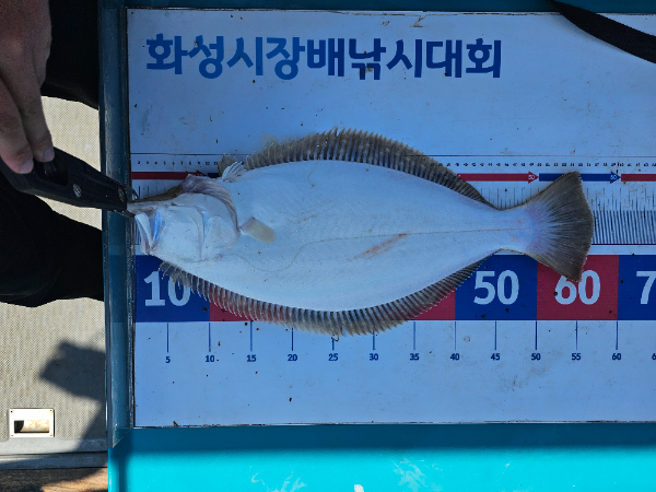 KakaoTalk_20260505_172717350_14.jpg