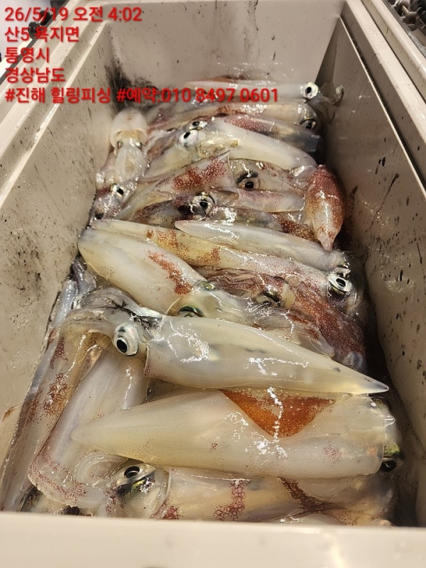 KakaoTalk_20260519_150031016_09.jpg